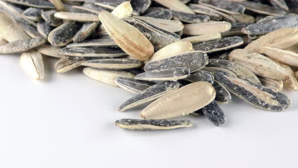 Sunflower Seeds 9