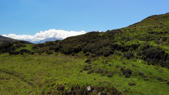 Beautiful Nature alt