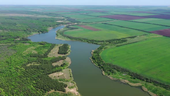 Agricultural fields and forest on the shore of the reservoir.
