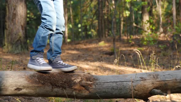 A Happy Little Child Walks on a Log in the Forest, Overcoming Obstacles and Developing Courage and alt