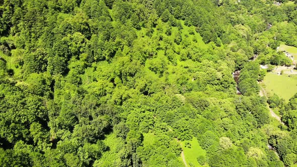 Flying Drone Over Green Mountains with Trees Landscape Top View From Above Aerial Shot Inspirational