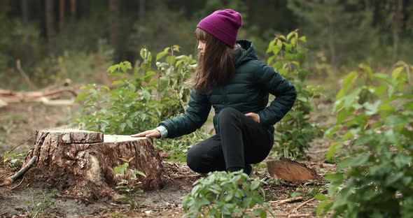 Cutted Tree Compassion