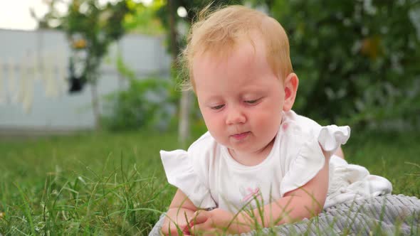 Toddler playing in the garden. Blue eyed girl smiling outdoor. Active baby on green grass.