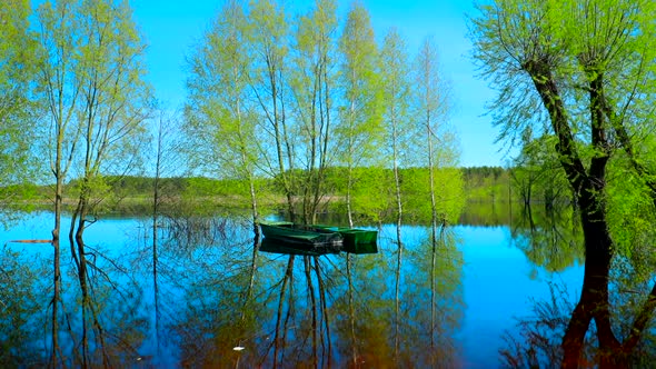 Boats Moored Near Trees That Standing In Water During Spring Flood Floodwaters alt