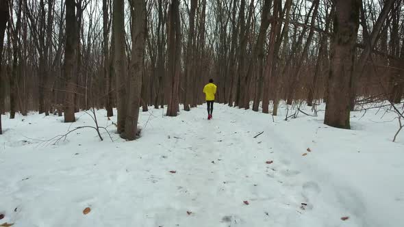 Back of Male Runner in Yellow Coat in Winter Forest alt