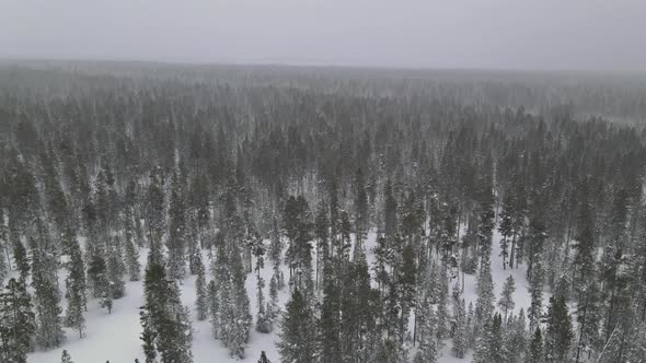 Snowy Forest in Heavy Snowfall Aerial View Top with Winter Panoramic Landscape alt
