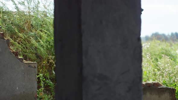 Sniper Walking into Ruined Building alt