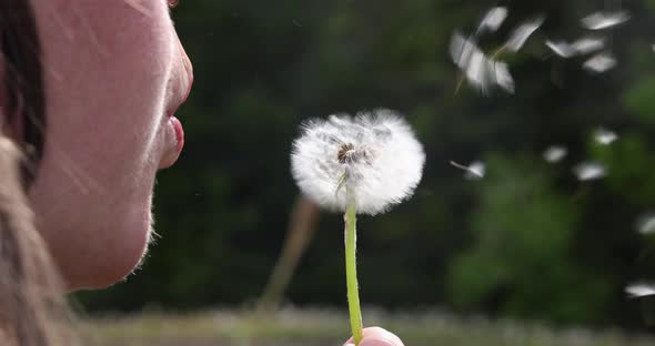 Closeup of Woman Blowing Dandelion Seeds alt