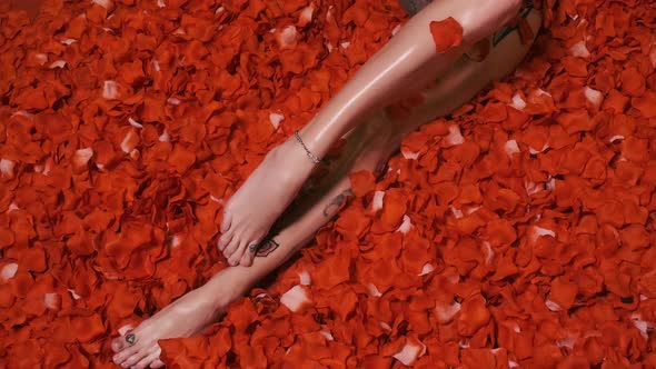 Woman Lies in Red Petals