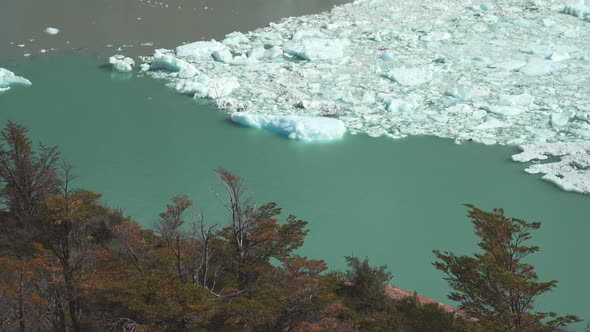 Small pieces of ice floating beside north part of Perito Moreno Glacier alt