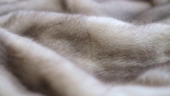 Luxurious Mink Fur Texture Closeup Background alt