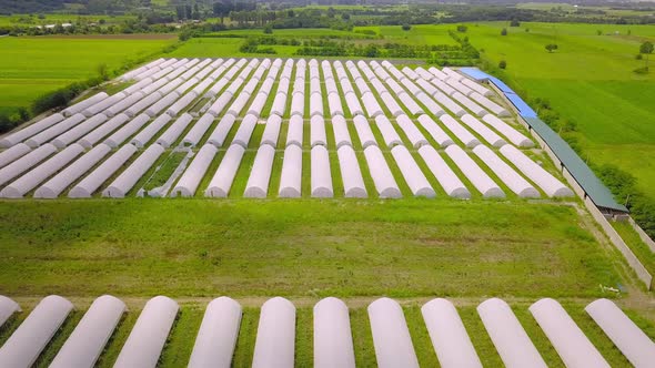 Modern Greenhouse Landscape Agricultural Greenhouse Greenhouse alt