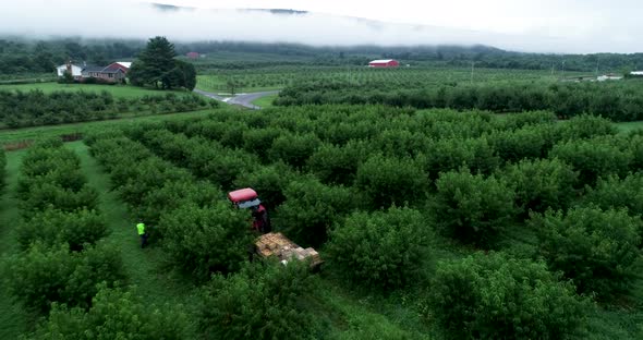 Aerial camera pulling away showing tractor and setting of orchard in the mountains with clouds. alt