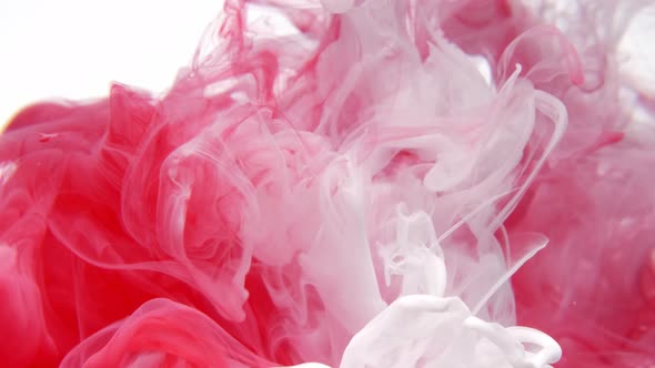 Colorful Red and White Paint Drops From Above Mixing in Water. Ink Swirling Underwater. Cloud of Ink alt