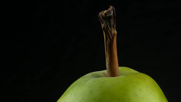 Green packham pear. alt