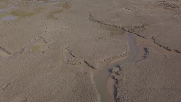 Wetlands from air