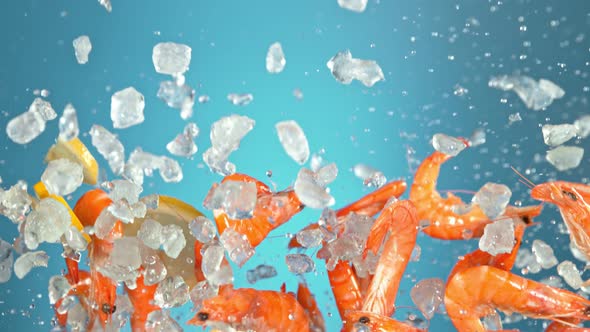 Super Slow Motion Shot of Flying Fresh Prawns with Crushed Ice and Lemon Slices at 1000 Fps alt