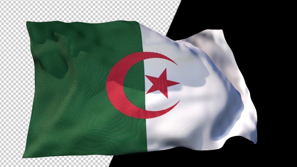 Flag Of Algeria