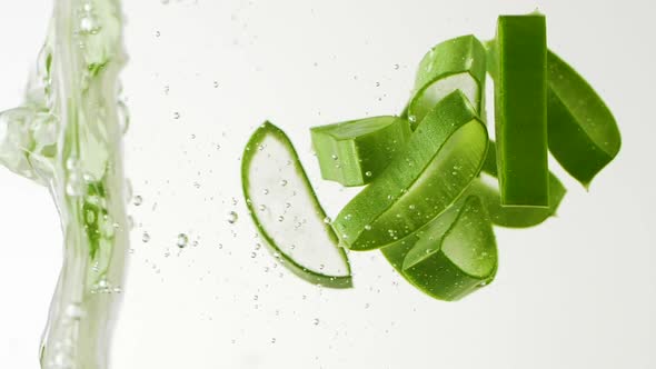 Slow Motion of Aloe Vera Plant Slices Falling Into Water and Splashing alt