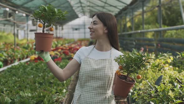 young girl farmer holding a flowerpot with greens. Greenhouse with flowers. Slow motion alt
