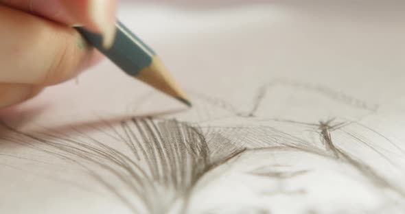 Young Woman Artist Hands Painting Man Portrait on White Paper Using a Pencil alt