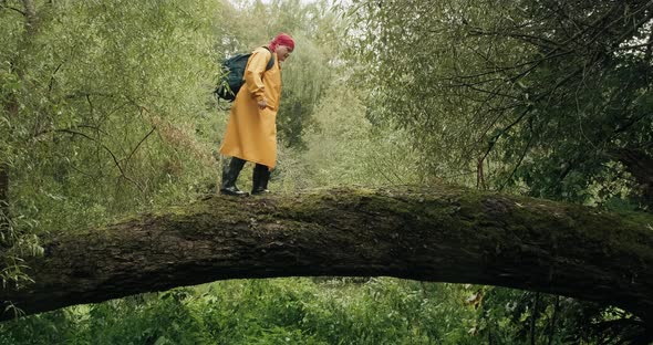 Hiker in a Yellow Raincoat with Backpack Walking on a Fallen Tree in the Forest