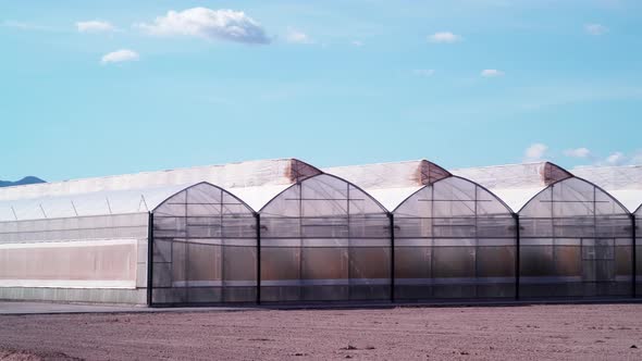Commercial Greenhouses In Murcia Spain.