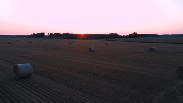 Aerial Landscape, Flight Over Agricultural Fields With Rolls of Hay Packed at  Sunrise. 4K Video alt