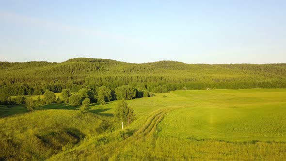Green Meadow And Hills