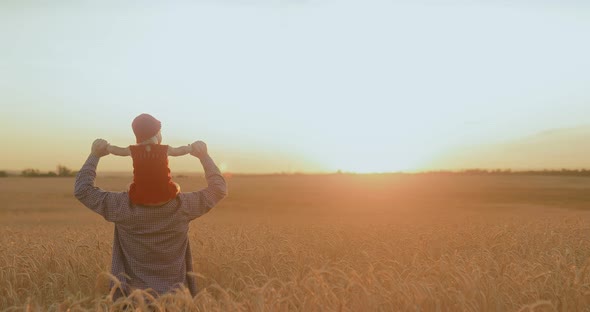 Walk in a Wheat Field at Sunset