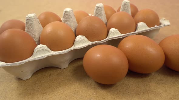 Chicken brown fresh raw eggs in an egg container.