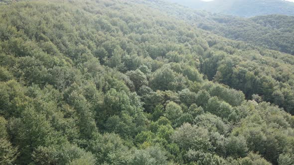 Forest in the Mountains. Aerial View of the Carpathian Mountains in Autumn. Ukraine alt