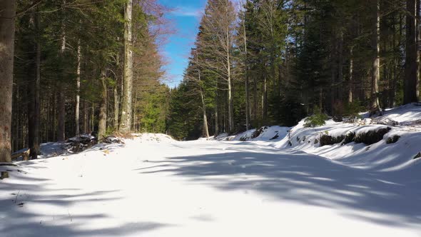 An eye level view of a road in Mt. Durmitor in Montenegro Europe alt