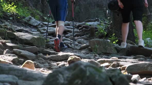 Couple of Tourists with Backpacks Climbing Up on Stone Trail in Mountain Forest alt