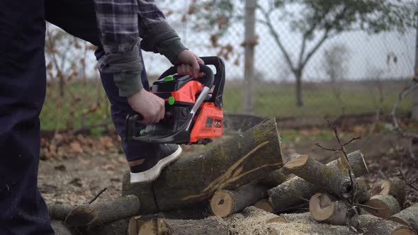 Lumberman Working Sawing Log Starting Chainsaw To Cutting Trees