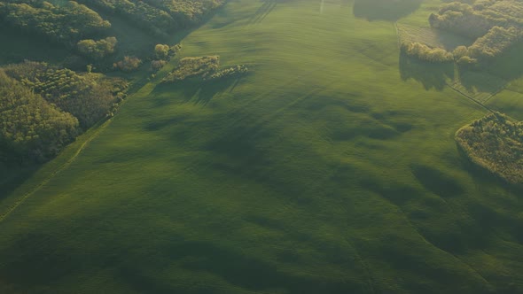Aerial View of Green Summer Forest with Green Fields at Majestic Sunrise alt