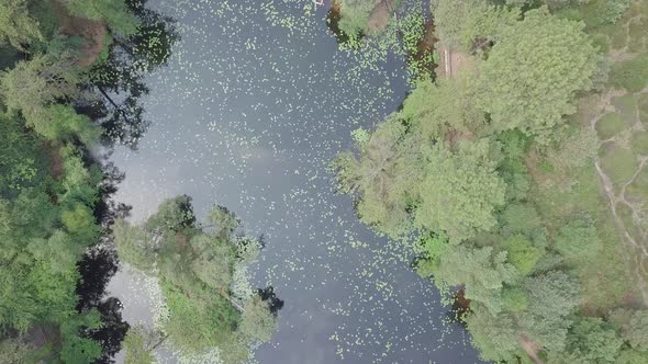 4k Aerial ZOOM OUT of beautiful water in a forest alt