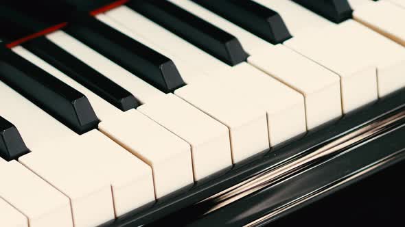Grand piano. Professional piano keys self playing. close-up seamless loop. for classical musical alt