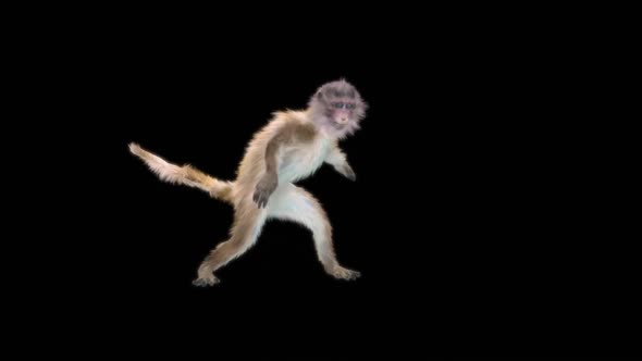 Monkey Dance HD alt