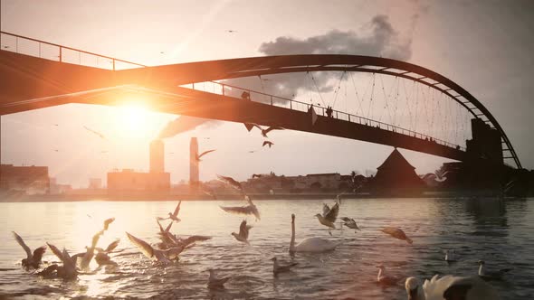 Bridge Landscape Panorama View of Lake and Birds at Sunset Light alt