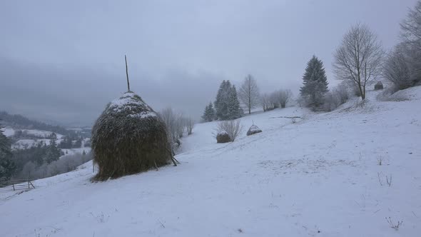 Haystacks on a snowy field alt