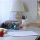 Cute Little Girl Stops Playing with her Pet Cat and Looks at the Camera - VideoHive Item for Sale