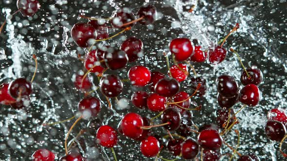 Super Slow Motion Shot of Flying Fresh Cherries and Water Side Splash Isolated on Black at 1000 Fps alt
