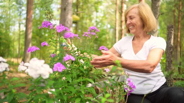Elderly Senior Gardener Farmer Woman Caring Flowers in Summer Garden at Countryside Outdoors Sprays