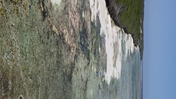 Vertical Video of Low Tide in the Ocean Near the Coast of Zanzibar Tanzania Aerial View alt