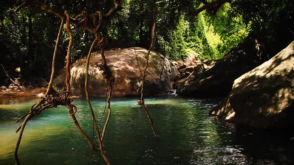 A man swimming in a pond hidden in the forest during a break from trekking in a National Park alt
