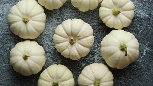 Small White Baby Boo Mini Pumpkins Placed in Circle on Dark Stone Table