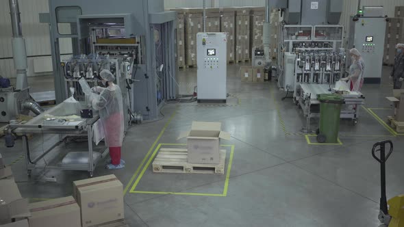 Caucasian Women Packing Food Dish Containers on Production Site. Wide Shot of Factory Workers alt