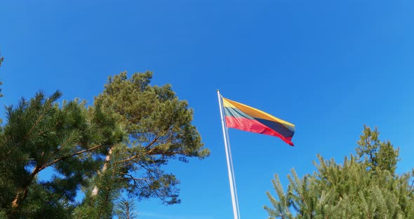 Republic of Lithuania Flag with flagpole waving in wind, sky with clouds on background