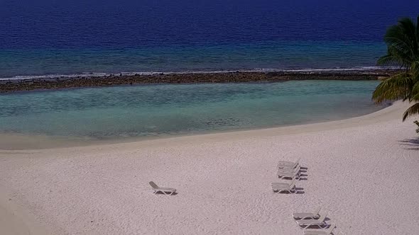Aerial drone abstract of coast beach wildlife by blue ocean and sand background alt